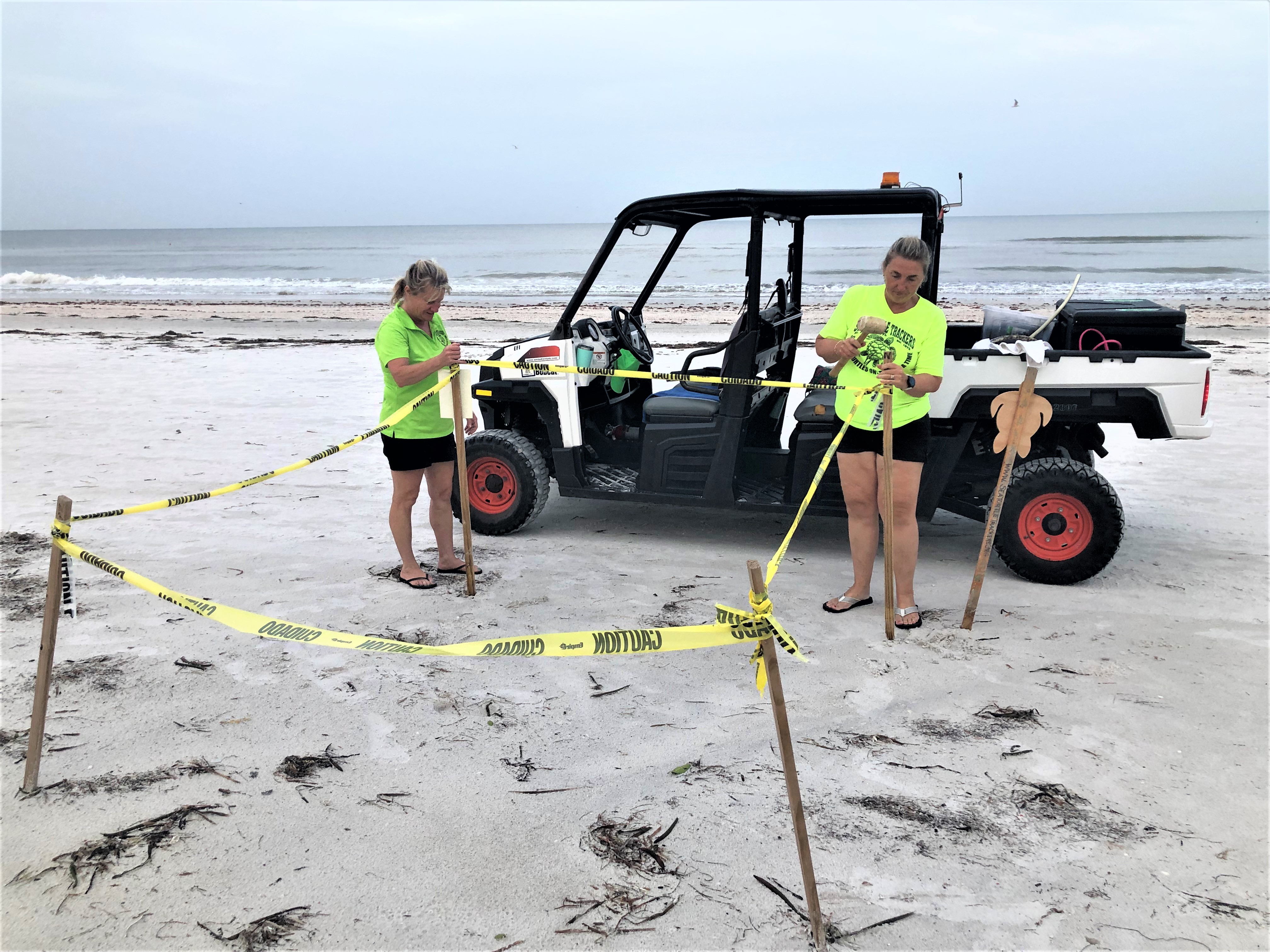 Volunteers work on nest maintenance on the beach.